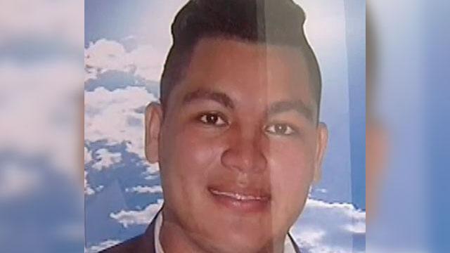Joven muere al intentar librarse de un ataque de abejas en Baranoa, Atlántico Joven muere al intentar librarse de un ataque de abejas en Baranoa, Atlántico