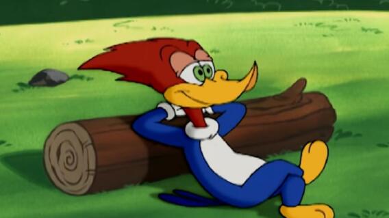 320864_Foto: Pájaro loco / Youtube