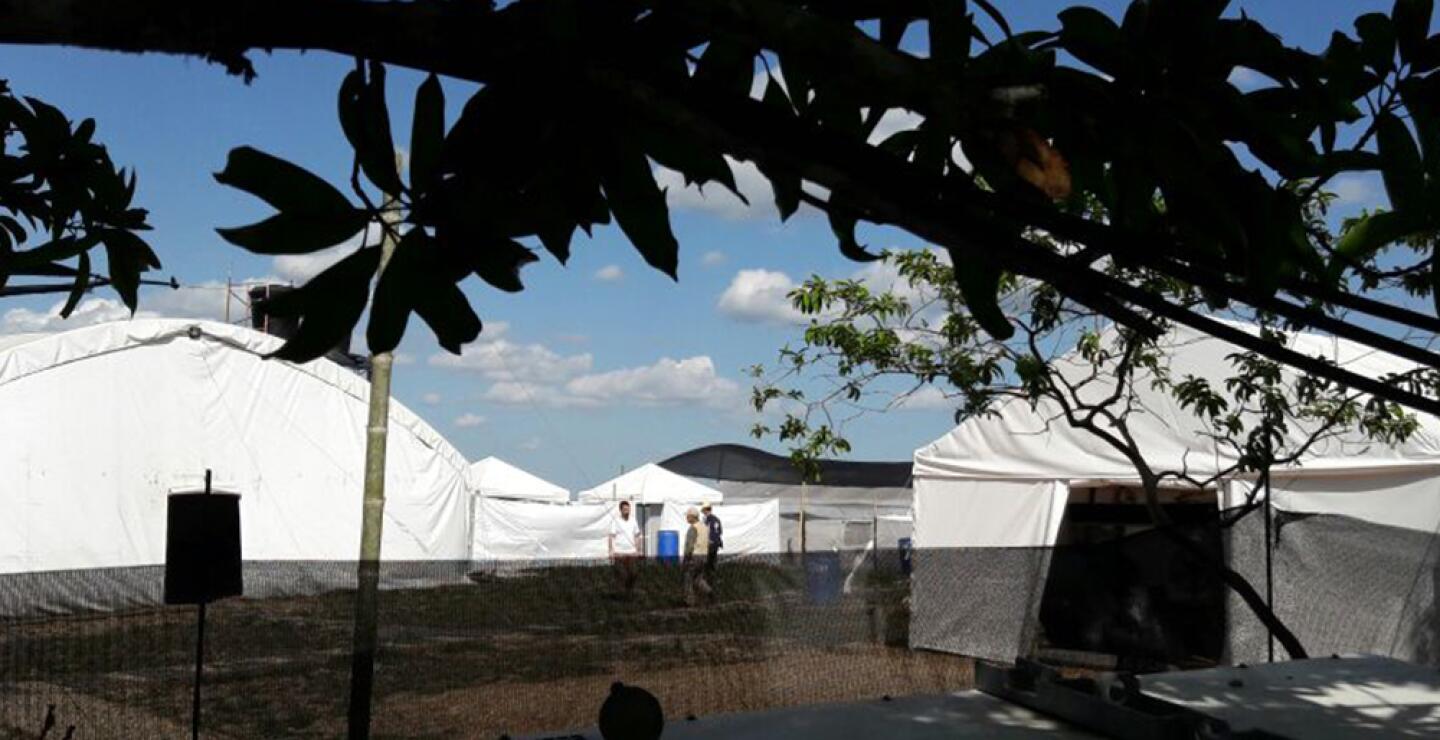 275346_Foto: Blu Radio