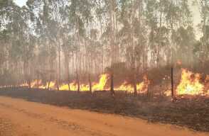355830_BLU Radio// Incendio en Santa Ana. Foto: Cortesía