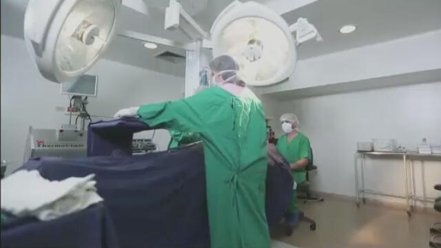 trasplante ok.jpg trasplante ok.jpg