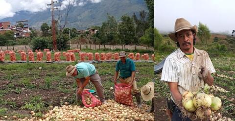 Campesinos de Guaca Santander.jpg