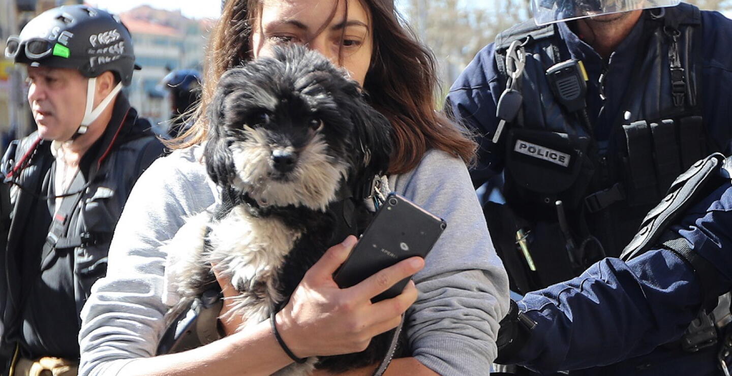 330576_Blu Radio // Emergencia mascotas // Foto: AFP