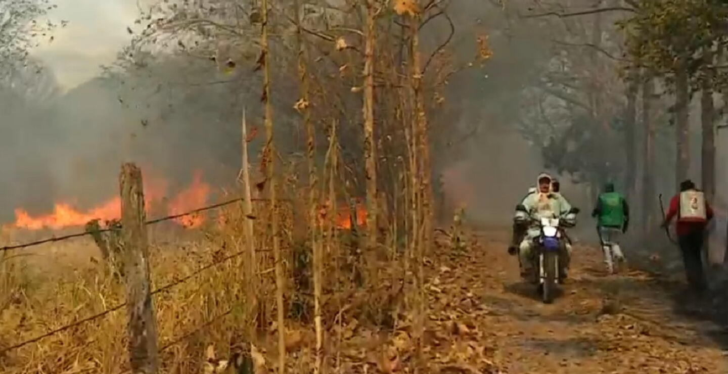 Así campesinos enfrentan incendios forestales: "No nos vamos, aquí viven 3 ancianos solos"
