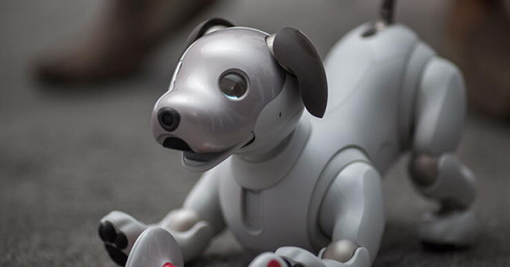 aibo-afp.jpg
