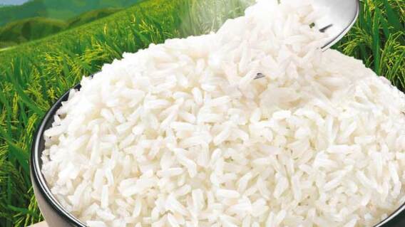 250215arroz.jpg 250215arroz.jpg