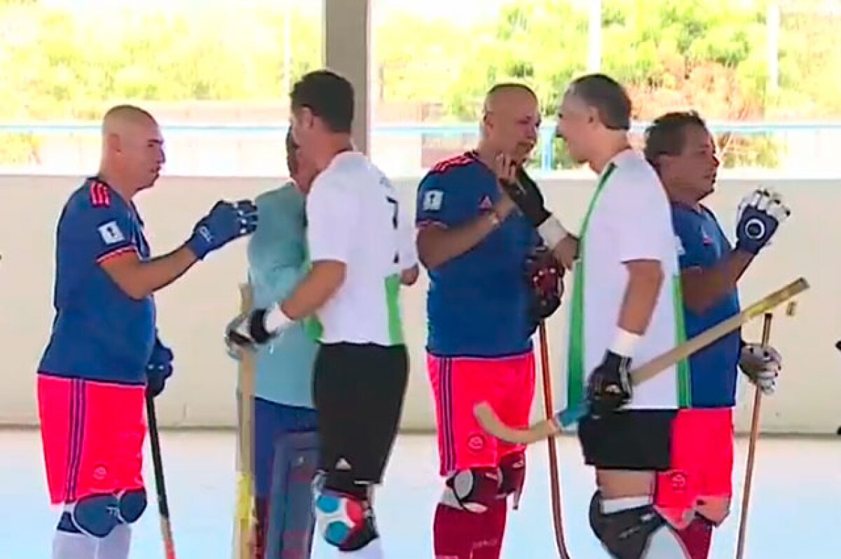 hockeyenpatines.jpg