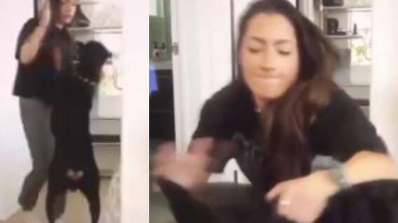 17906_La Kalle. Youtuber maltrata a su perro / Foto: captura video 17906_La Kalle. Youtuber maltrata a su perro / Foto: captura video