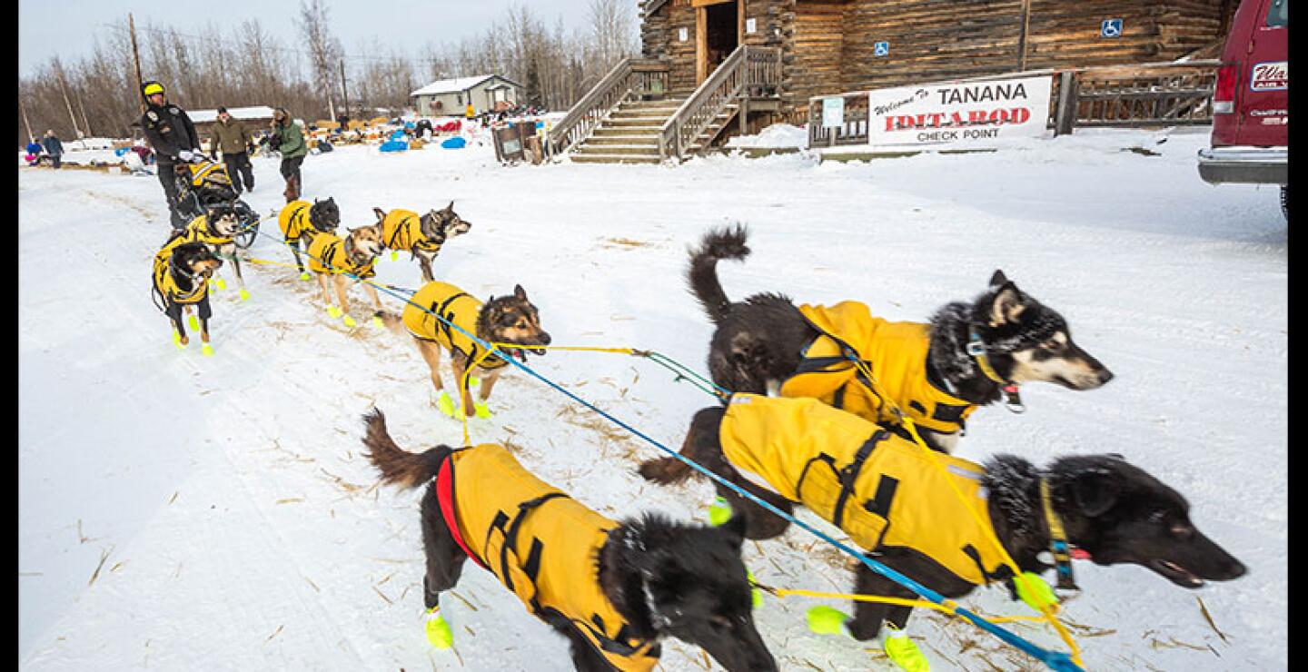 Las condiciones que viven caninos y conductores de los trineos suman un alto grado de dificultad a la competencia. 