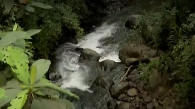 Inician labores de control ambiental en las reservas naturales y zonas protegidas de Cali 
