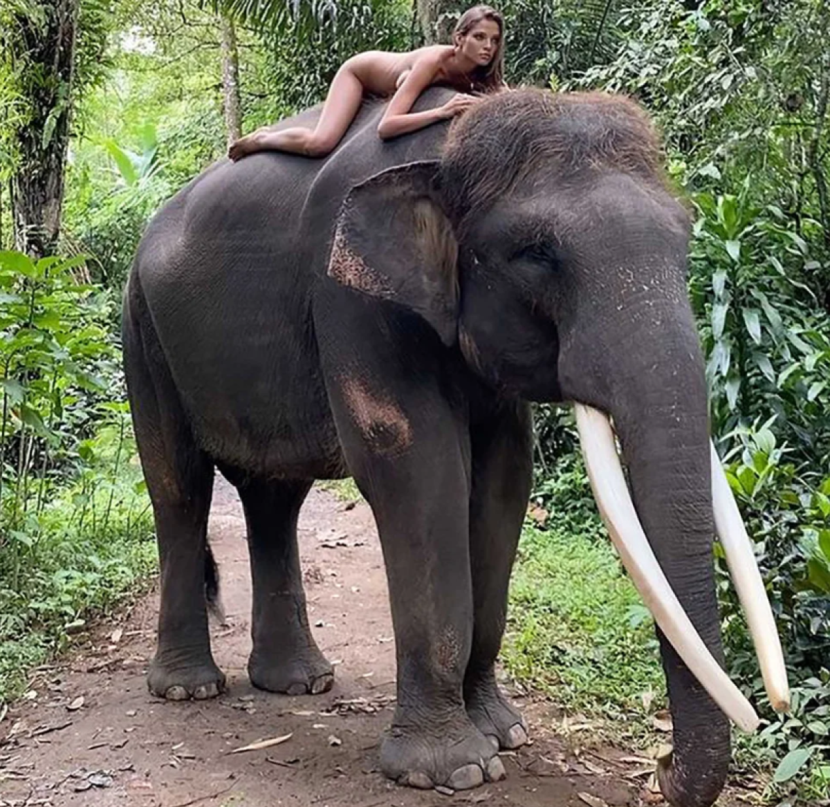 Alesya Kafelnikova foto con elefante