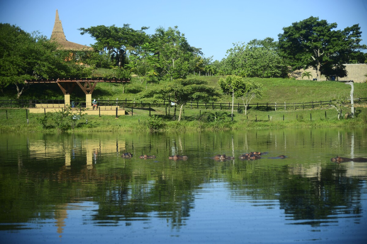 264306_Hacienda Nápoles / Foto: AFP