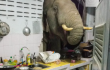 Elefante