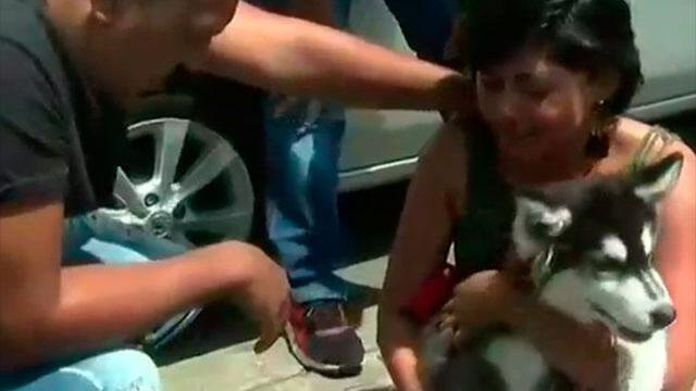 Conmovedor encuentro: ahijada de Jhonny Rivera recuperó a su perrito que estaba perdido Conmovedor encuentro: ahijada de Jhonny Rivera recuperó a su perrito que estaba perdido