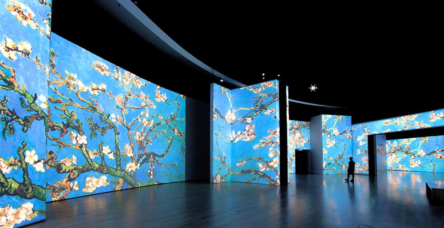 van-gogh-2-medellin-5.jpg