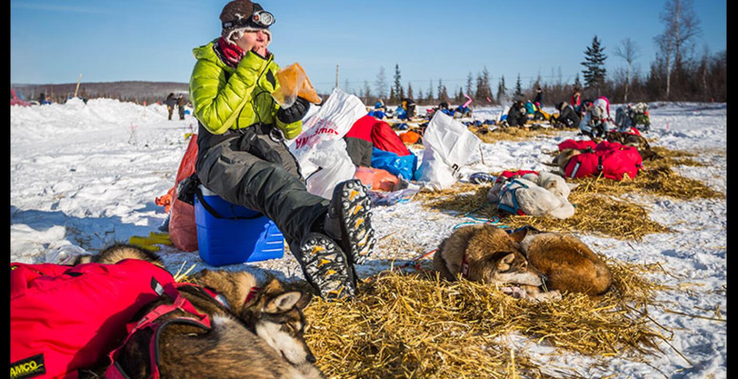 En 1990 se registró el mayor número de fallecimientos de canes: 29. 