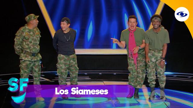 Siameses.jpg Siameses.jpg