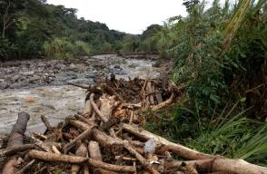 280508_El 60% de Palmira continúa sin agua potable por empalizada en el río Nima . Foto: Cortesía.