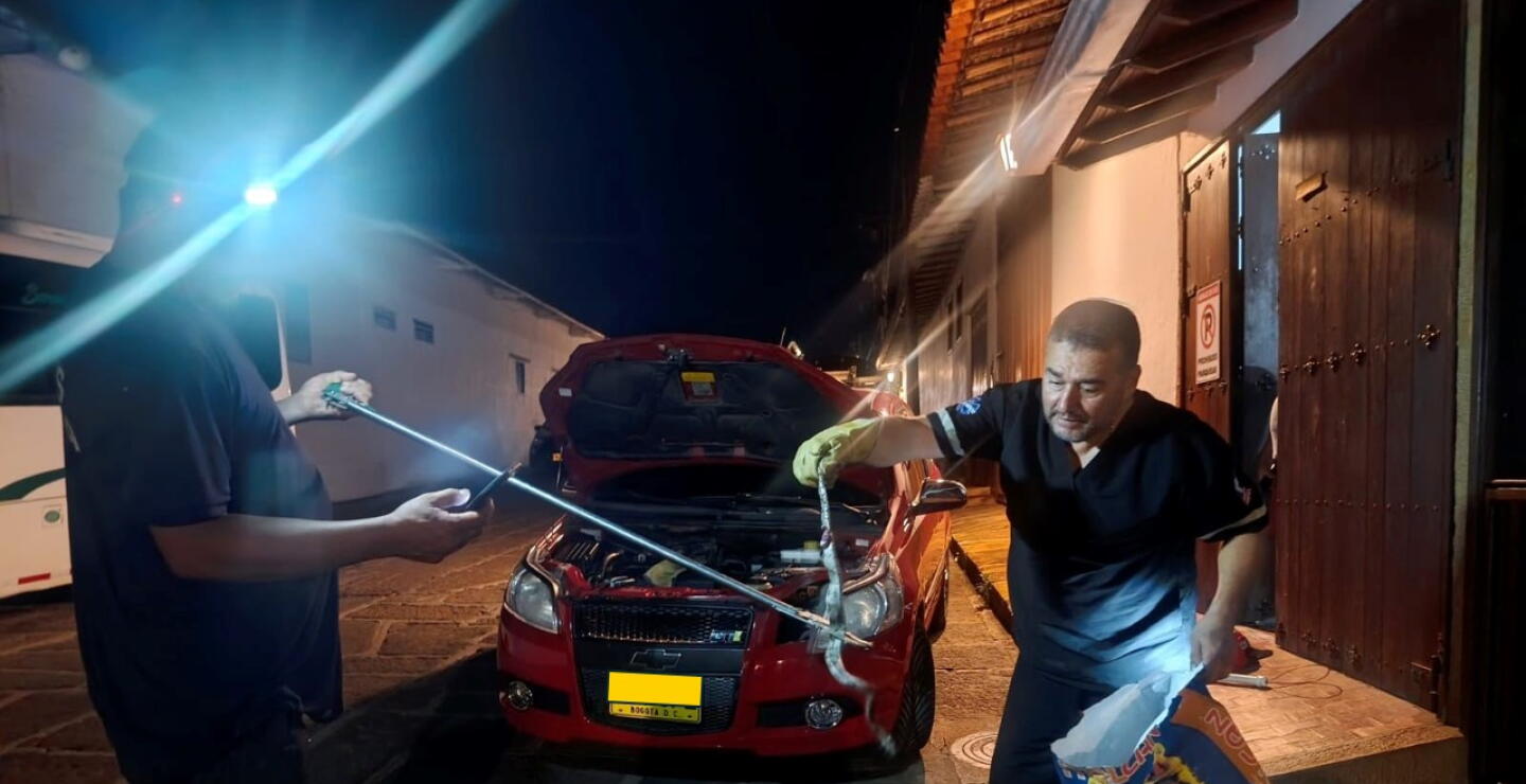 Serpientes sorprendieron a viajeros en Santander.jpg