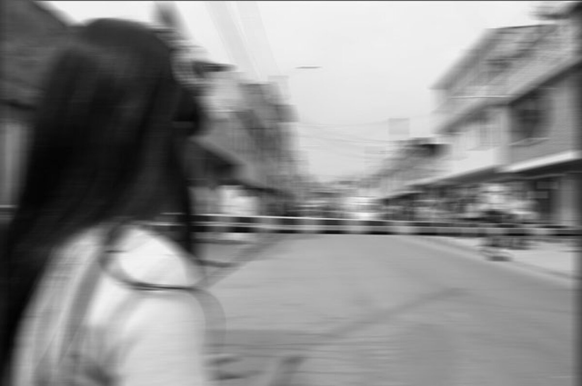 ninia_1.jpg