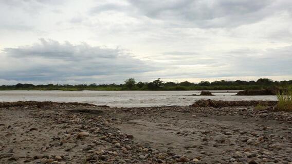 245561_Foto: Gobernación del Meta