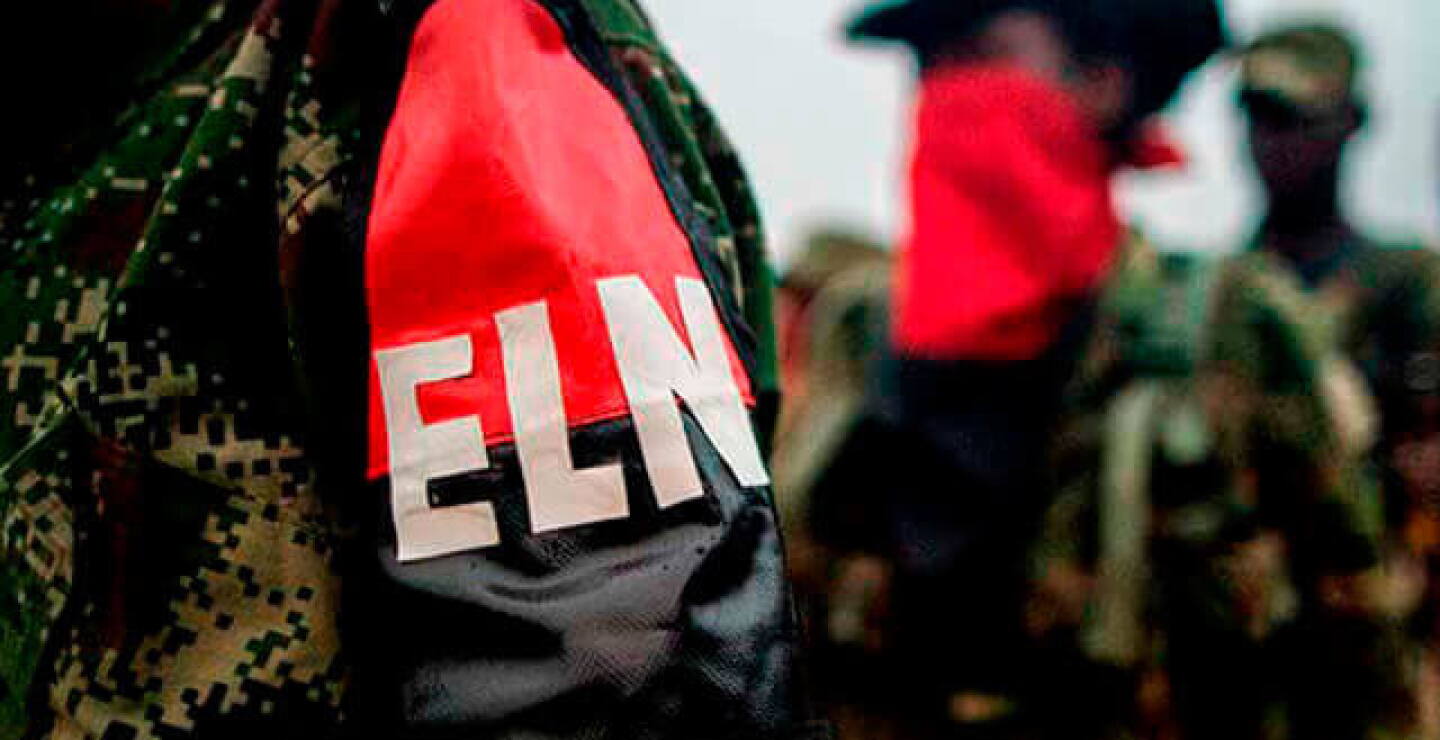 eln_5.jpg