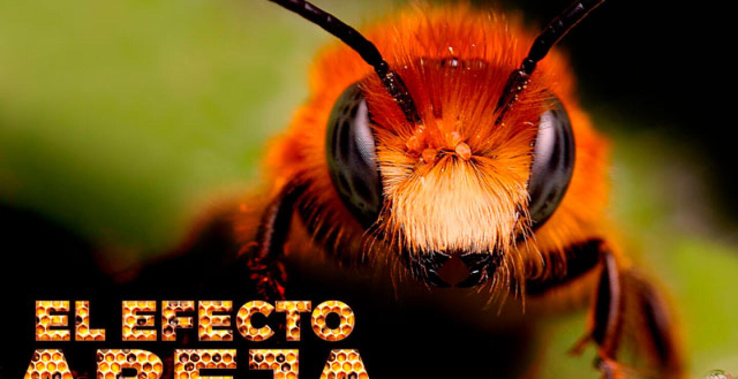 299902_img_informantes_161272.jpg