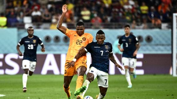 Paises Bajos Vs Ecuador, grupo A en el Mundial de Qatar 2022 Paises Bajos Vs Ecuador, grupo A en el Mundial de Qatar 2022