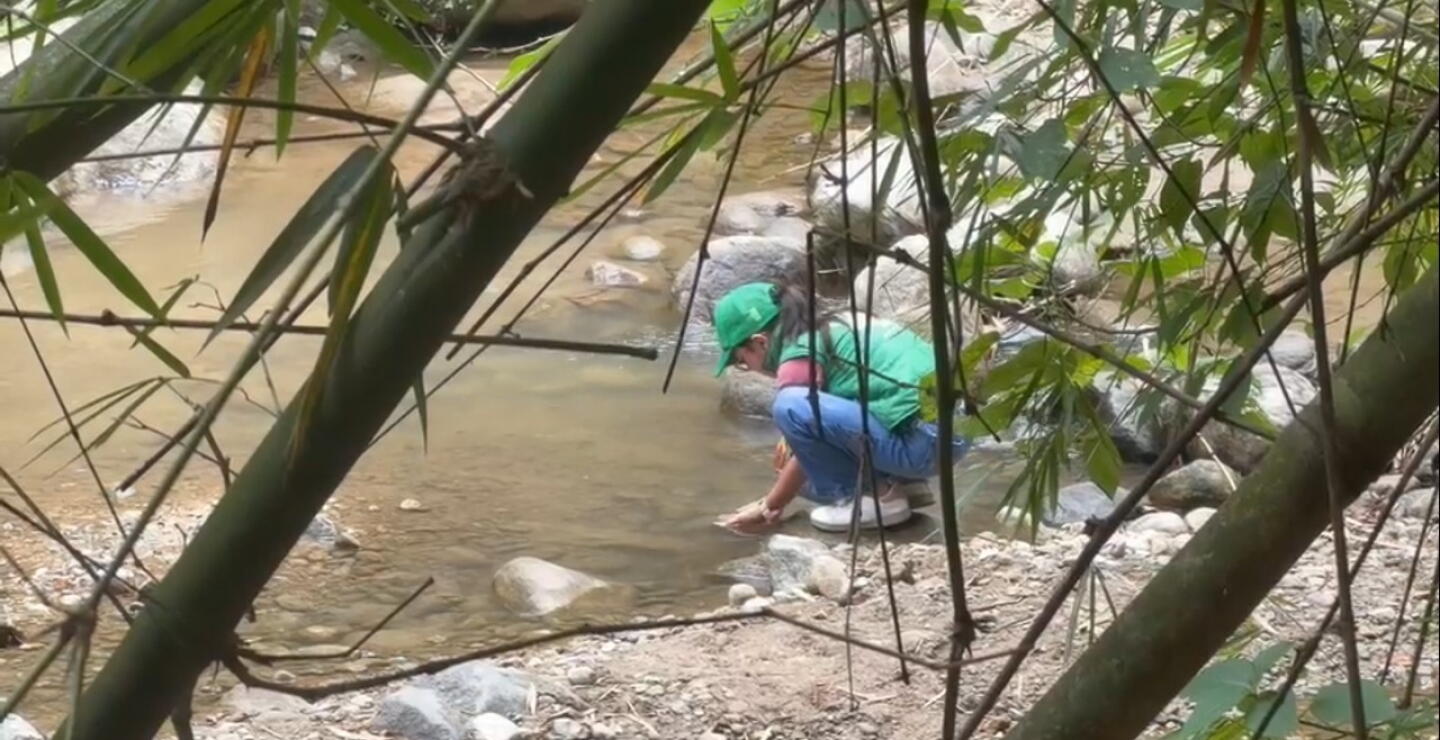 Niña de 11 años lidera campaña denominada "Misión Agua" en Floridablanca.