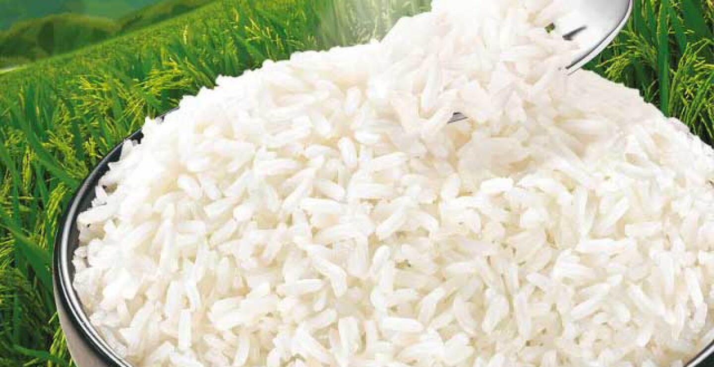 250215arroz.jpg