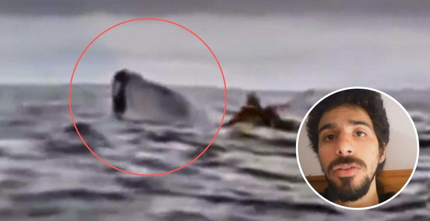 El duro relato de joven que casi fue tragado por una ballena en Chile