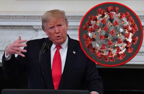 354940_Trump dice que "calor" terminará con coronavirus // Fotos: AFP