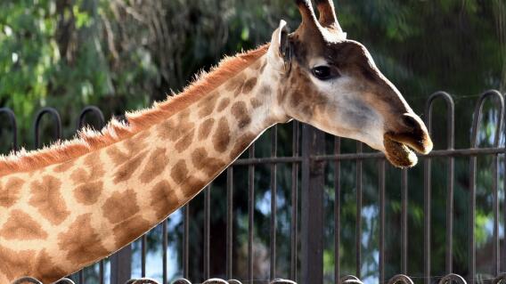 314729_Foto: referencia AFP