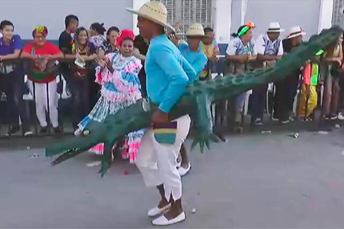 caiman.jpg