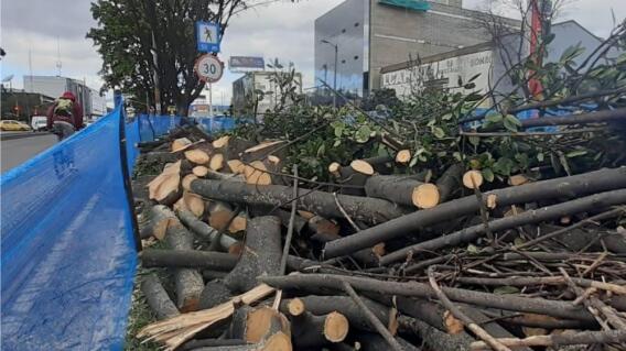 Tala de árboles en la Avenida 68 en Bogotá Foto Suministrada.jpg Tala de árboles en la Avenida 68 en Bogotá Foto Suministrada.jpg