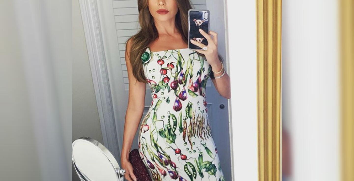 341883_Foto: Tomada de Instagram @SofiaVergara