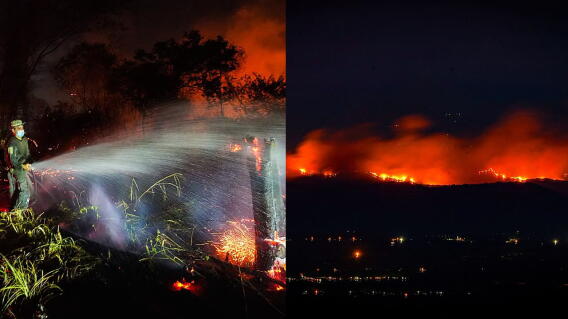 Incendios forestales arrasan más de 27.000 hectáreas en Tolima y causan emergencia en Nariño