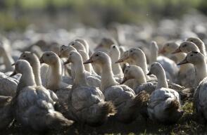 278777_Foto referencia: AFP