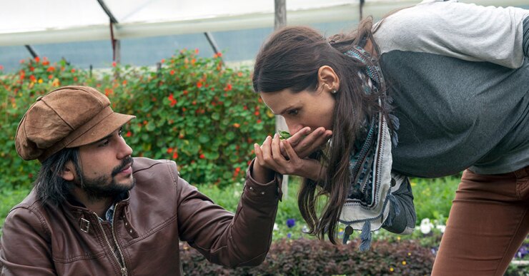 "A partir de esa hipótesis nos topamos con que existía esa gama de las flores comestibles, que son entre 250 a 300 en el mundo y de las que Colombia puede producir casi que las 300 por los pisos térmicos que tiene", explicó a la AFP mientras