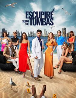 Portada de Escupiré sobre sus tumbas