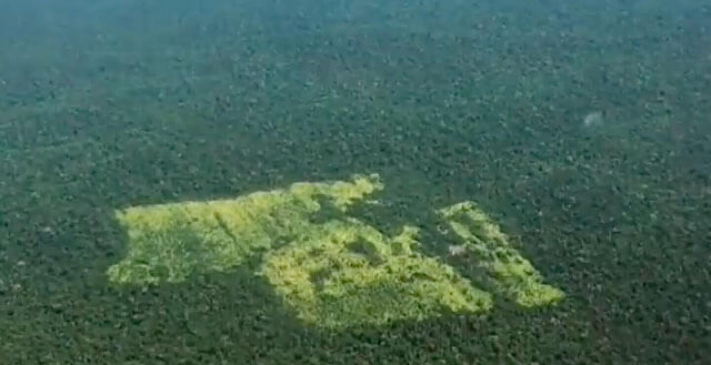deforestacion-brasil-f_0.jpg