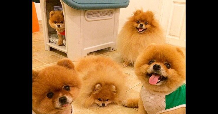 the_family_gang16.jpg