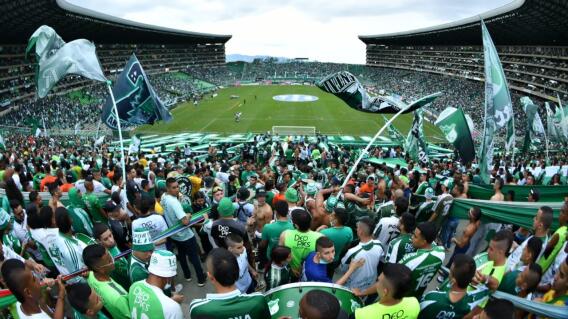 Deportivo Cali hinchas Deportivo Cali hinchas