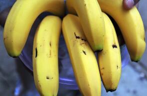 359526_Bananos. Foto: AFP