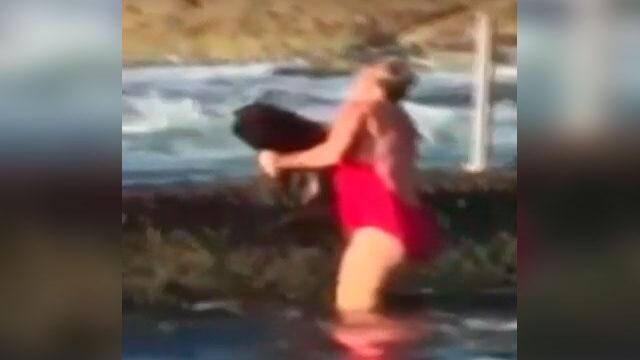 Captado en cámara: mujer salva a un tiburón en Australia