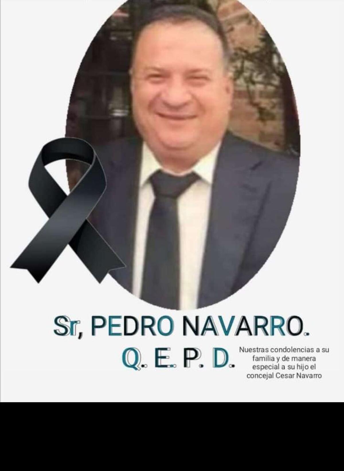 FOTO PEDRO NAVARRO.jpg