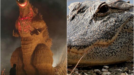 276644_Fotos: Referencia AFP