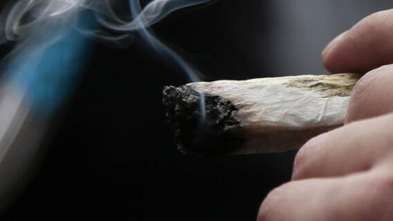 marihuana-foto-colprensa.jpg