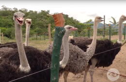 354089_130919_la_finca_de_hoy.jpg