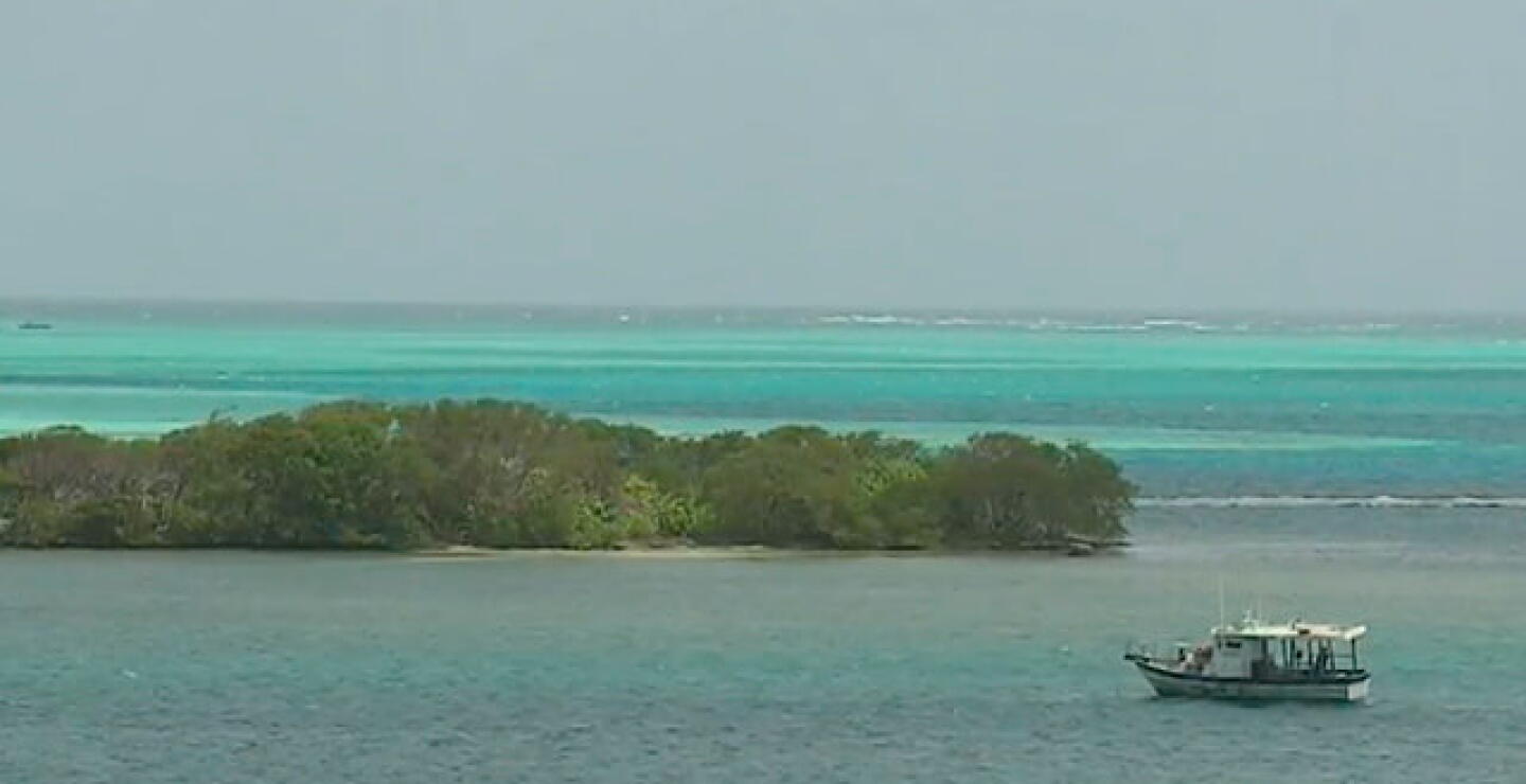 droga-san-andres_0.jpg